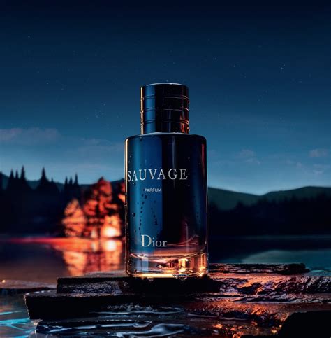 parfum sauvage dior pour homme|sauvage aftershave for men boots.